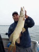 P1050294 - Kopie.JPG