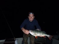 Barsch 48cm  kleiner.jpg