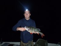 Barsch 47cm kleiner.jpg