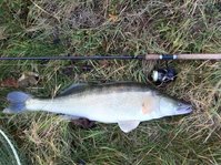 komplette Karte 002.jpg