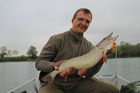 comp_IMG_0372 bea.jpg