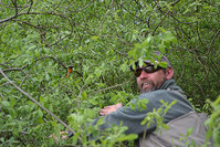 02 Silver_sucht_seinen_Zalt.jpg