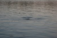 IMG_6469.JPG