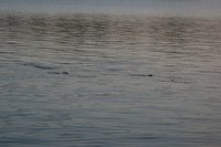IMG_6470.JPG