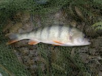 comp_2012-06-02-024.jpg