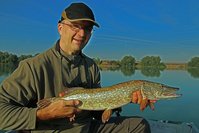 comp_IMG_1240 bea.jpg