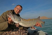 comp_comp_IMG_1662 bea.jpg