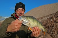 comp_comp_IMG_1651 bea.jpg