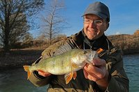 comp_comp_IMG_1667 bea.jpg