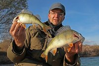 comp_comp_IMG_1663 bea.jpg