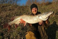 comp_IMG_1740 bea.jpg