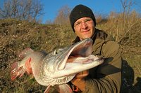 comp_IMG_1746 bea2.jpg