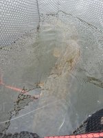 20130511_180934 640.jpg