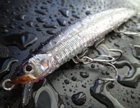 X Bait 145.JPG