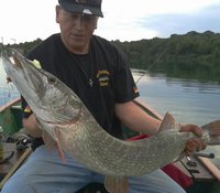 2014-08-30 18.33.39-1.jpg