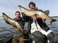 1-DSC_8148 - Kopie.JPG