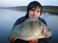 verkleinerter MONSTERBARSCH.JPG