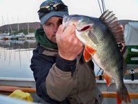 verkleinert[1] (3).jpg